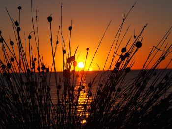 SUNSETS_RISE-11-e1608010295595
