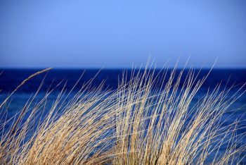 WATERSCAPEs-15-e1568097878133